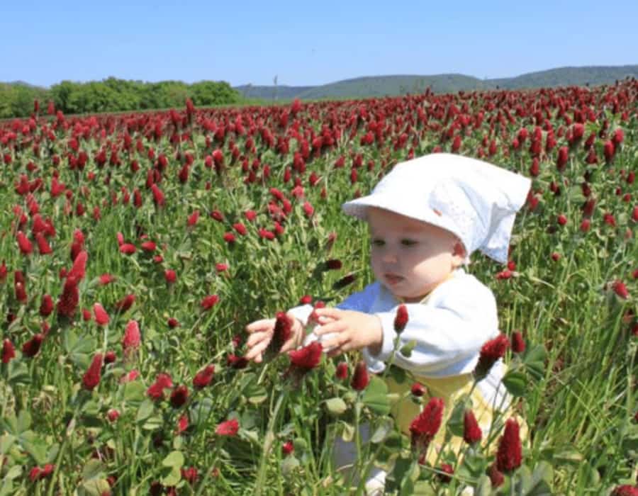 Chapeau enfant anti-UV "Lison" – Image 2